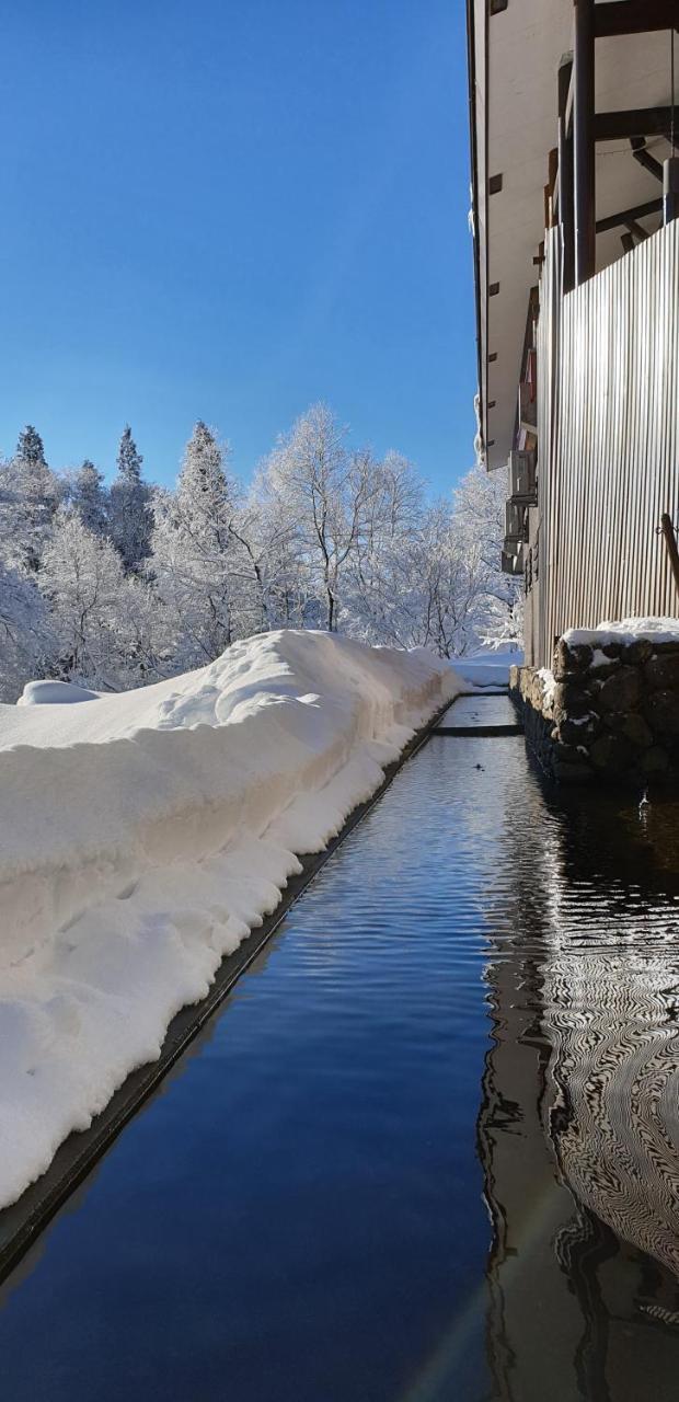 Myoko Ski Lodge In Akakura Village Экстерьер фото