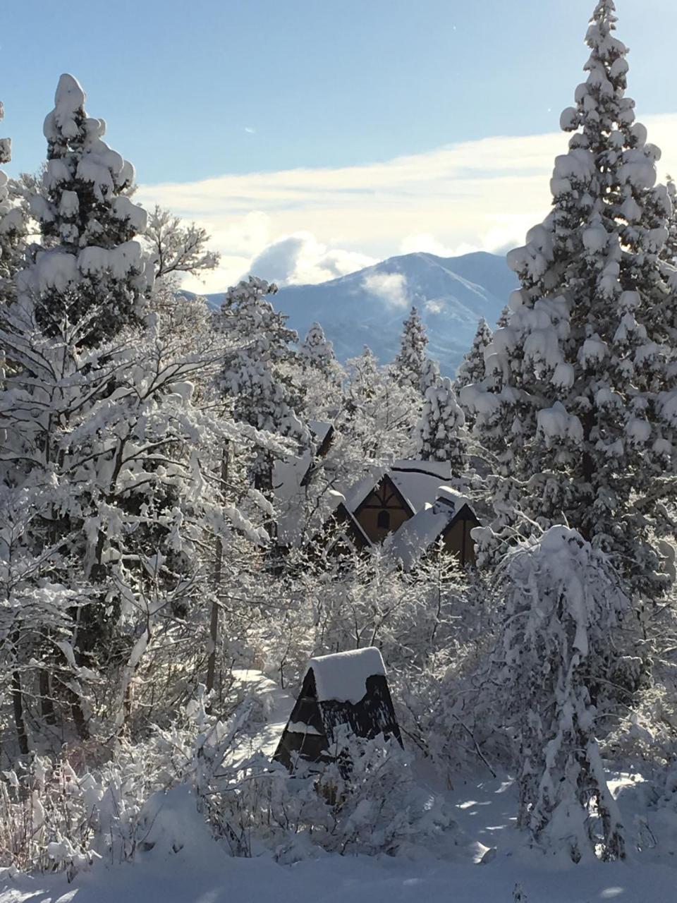 Myoko Ski Lodge In Akakura Village Экстерьер фото